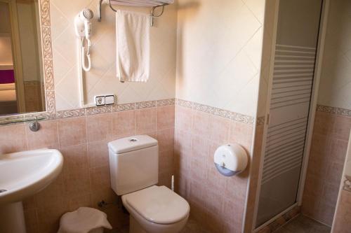 a small bathroom with a toilet and a sink at Pension Agadir in San José