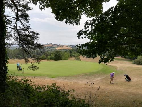 two people playing golf on a golf course at Relaxing space. in Kilpedder