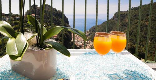 two glasses of orange juice sitting on a table with a plant at Amalfi Dream Charming House in Scala