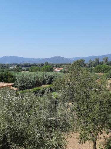 einen Blick über ein Feld von Bäumen in der Unterkunft Sa Caladroxa in Villa San Pietro
