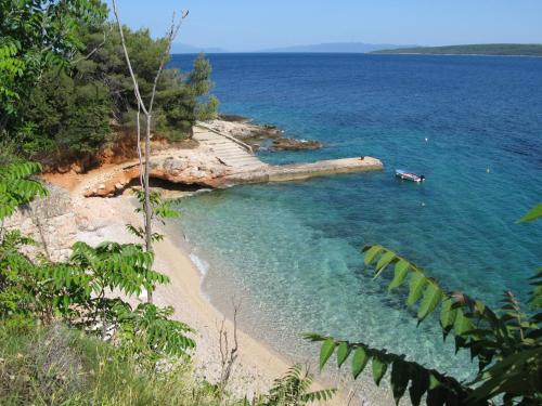 a log laying in the water next to a beach at Villa Mala in Zavala