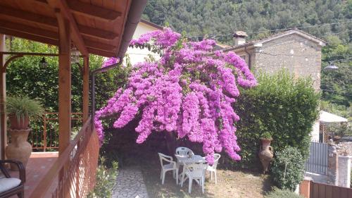 Un mazzo di fiori viola appesi a un palazzo di La Bouganville e Il Gelsomino a Pietrasanta