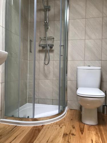 a bathroom with a shower and a toilet at Trinity Lodge - Home with Private Garden and Parking in Edinburgh