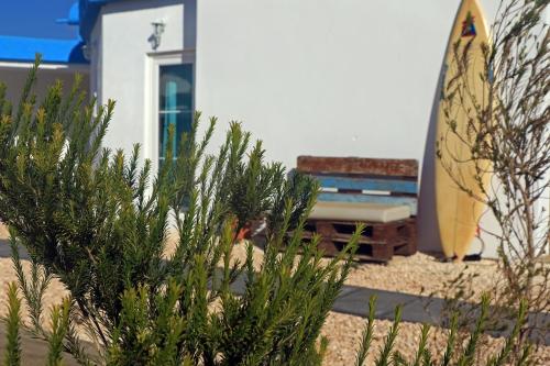 Jardín al aire libre en Blacksheep Sagres Guesthouse & Surf