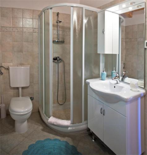 a bathroom with a shower and a sink and a toilet at Casa Rodeli in Motovun