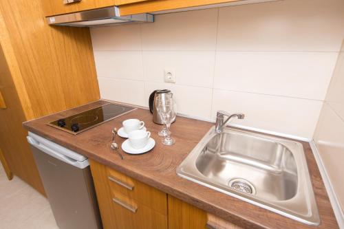 a kitchen counter with a sink and a sink at La Casa di Giorgio Greco in Nikiti