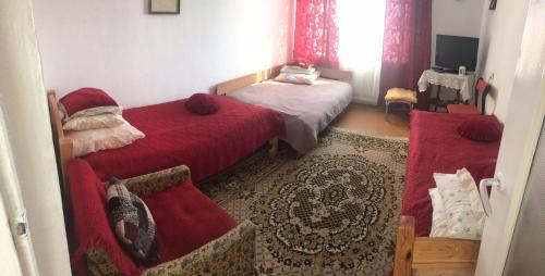 ウストシキ・ドルネにあるPokoje u Rysiaのベッドルーム1室(赤いシーツとラグ付きのベッド2台付)