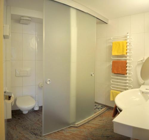 斯拉德明的住宿－斯瓦契哈維酒店，带淋浴、卫生间和盥洗盆的浴室