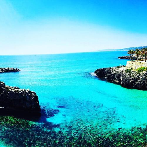 a view of the ocean with rocks and trees at Le Grotte in Castro di Lecce