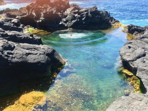 a pool of water in the ocean between rocks at Sea Roots "Sea Zone" in Mosteiros