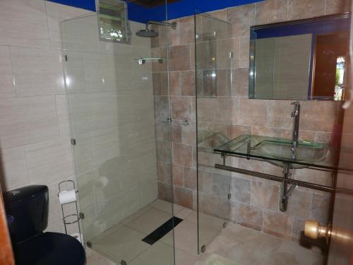 y baño con ducha acristalada y lavamanos. en Toopas en Boquete