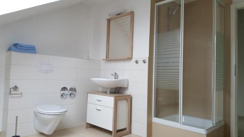 a bathroom with a toilet and a sink and a shower at Mecklenburger Straße 3 in Moltow