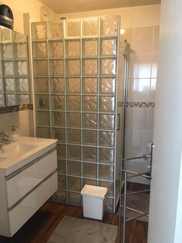 a bathroom with a shower and a sink and a toilet at T2 proche PARIS et gare TGV MASSY in Massy