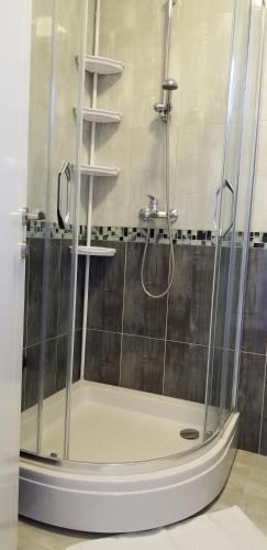 a shower with a glass door in a bathroom at Apartment Vila Mirela in Krimovice