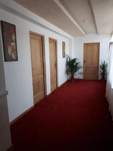 a hallway with two doors and a red carpet at Casa Pozitiv Relax in Buzau