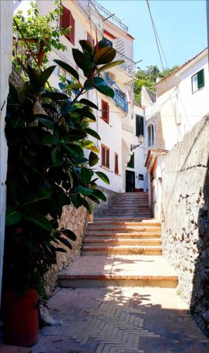 a stairway leading up to a building at La Maison de mémé in Cetara