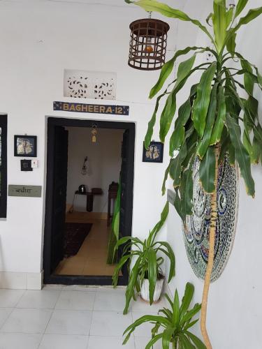 a hallway with a plant in a pot on the wall at Inn Seventh Heaven in Pushkar