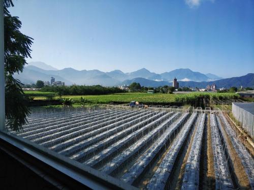 a field of crops with mountains in the background at Songfeng Xiuxian Homestay in Puli