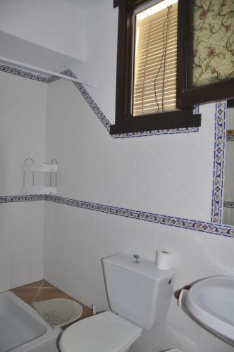 ベヘール・デ・ラ・フロンテーラにあるVivienda Turistica de Alojamiento Rural Casa Arenalejosのバスルーム(トイレ、洗面台付)、窓が備わります。