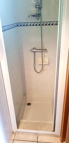 une douche avec une porte vitrée dans une salle de bain dans l'établissement Chalet Saint Julien en Born, à Saint-Julien-en-Born