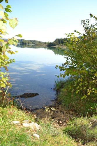a view of a body of water with trees at Auberge du Hérisson in La Chaux-du-Dombief