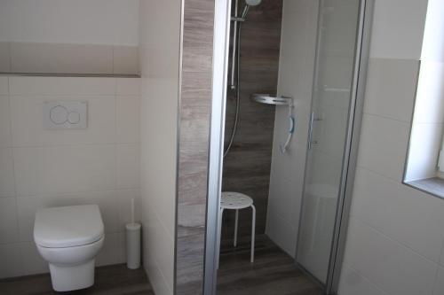 a bathroom with a toilet and a glass shower at Ferienhaus Elisa in Petersfeld