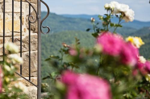 a bunch of pink flowers in front of a wall at Antico Casale di Ferdinandi in Bibbiena