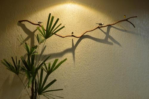 a shadow of a plant on a wall at Cais da Praia Hotel in Maceió