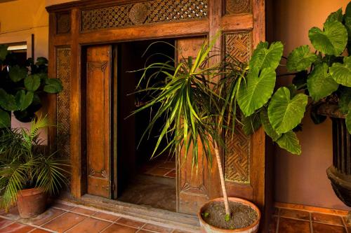 Gambar di galeri bagi Chillout Hotel Tres Mares di Tarifa