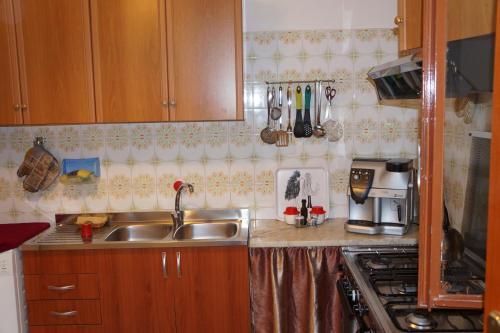 阿沃拉Villa Ana Maria的带水槽和炉灶的厨房