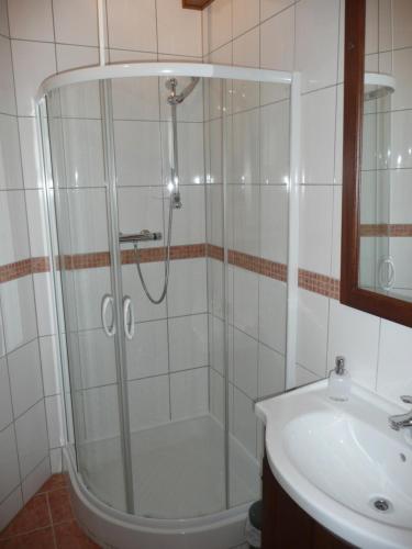 a bathroom with a shower and a sink at Chez Anny et Jean Au Mittelbuehl in Reichshoffen