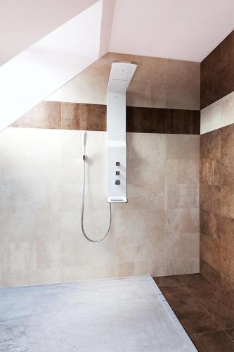 a shower in a bathroom with a shower head at Černá louže in Branžež