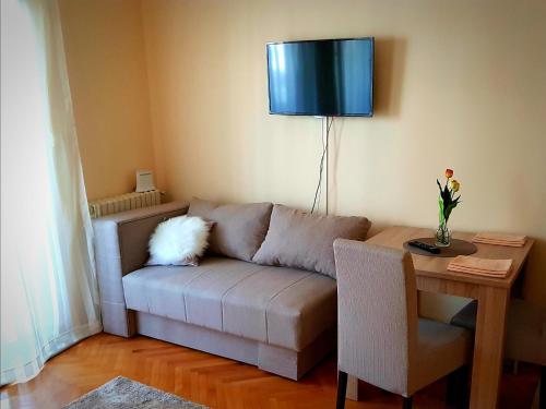 ein Wohnzimmer mit einem Sofa und einem Tisch mit einem TV in der Unterkunft Apartman Lenka in Banja Koviljača