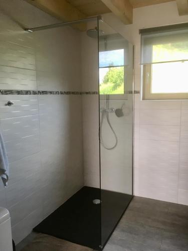une douche avec une porte vitrée dans une salle de bain dans l'établissement chalet a la campagne, à Coise-Saint-Jean-Pied-Gauthier