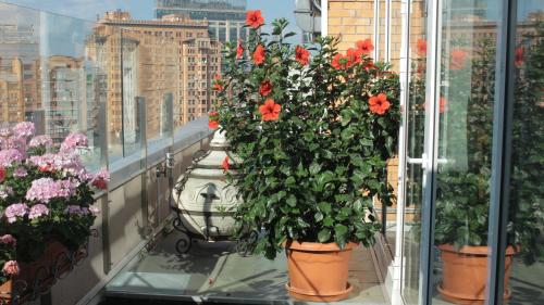 a group of flowers in pots on a balcony at Hotel Asteri in Kyiv