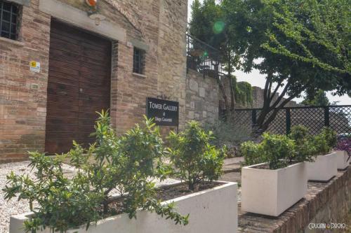 a group of potted plants in front of a building at Torre Caetani- Night in a medieval tower in Todi