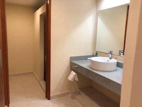 een badkamer met een wastafel en een spiegel bij Hotel Mirto in Puebla