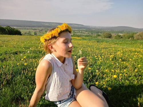 a little girl sitting in a field of flowers at Noclegi u Banysia w sercu Gór Świętokrzyskich in Krajno Pierwsze