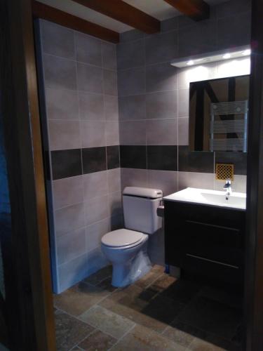 une salle de bain avec toilettes et lavabo dans l'établissement Gîtes les Terriers, à Saint-Jean-Froidmentel
