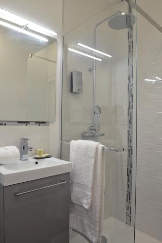 une salle de bain avec une douche, un lavabo et un miroir dans l'établissement Logis L'hermitage, à Buzançais