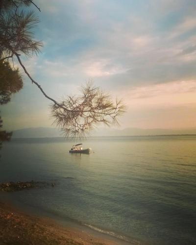 Marietta's cozy home by the sea