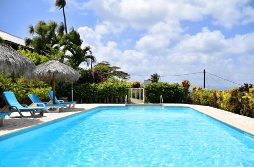 a swimming pool with two chairs and a palm tree at Le Panoramic in Les Trois-Îlets