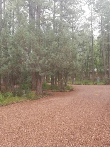 Northwoods Resort Cabins – Photos 4