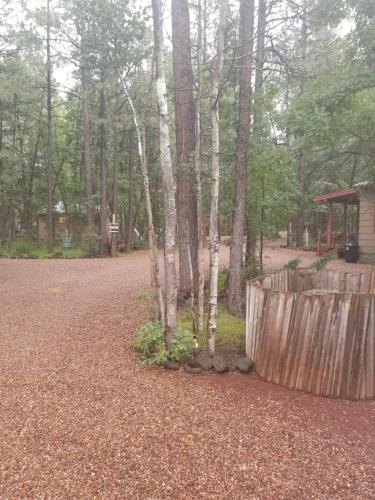 Northwoods Resort Cabins – Photos 3