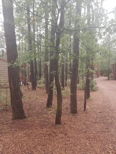 Northwoods Resort Cabins – Photos 2