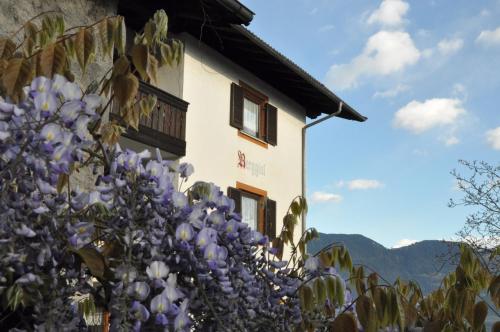 a building with purple flowers in front of it at Berggütl in Tirolo