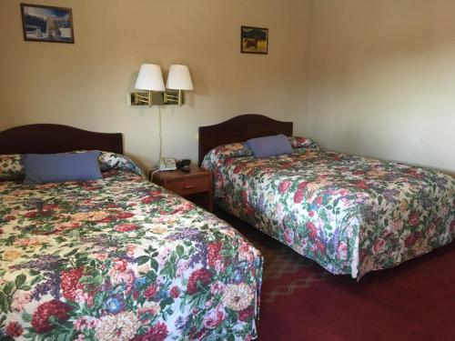 two beds in a room with two lamps on at Ole Miss Motel in Oxford