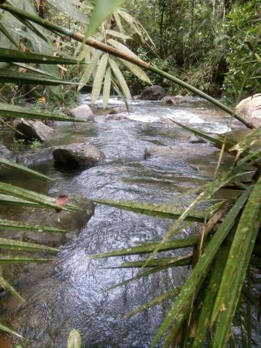 Bentota Orchid House – Photos 3