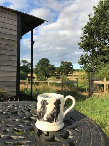 Gallery image of Wellbank Shepherds Hut in Chetwynd