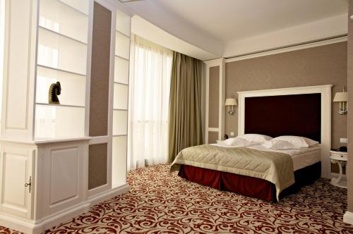 a hotel room with a bed in a room at Hotel Bellaria in Iaşi